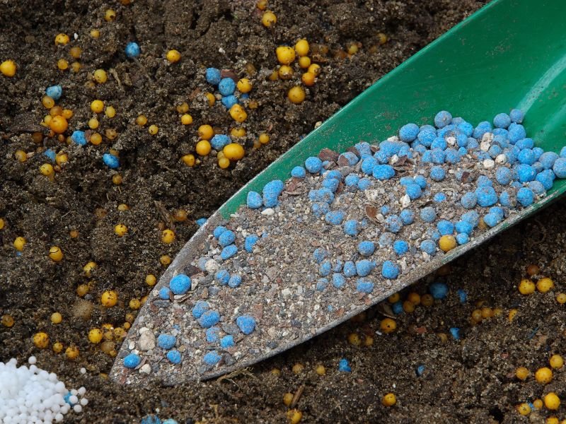 Venta de Abonos y Fertilizantes Agrícolas en San Vicente - Agroservicio Rodríguez